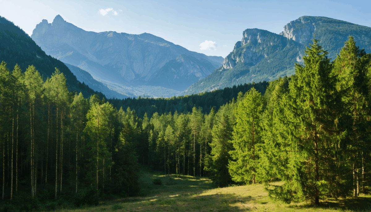 découvrez si vous pouvez installer un chalet sur un terrain non constructible, les conditions légales à respecter et les démarches indispensables pour réaliser votre projet en toute sérénité.