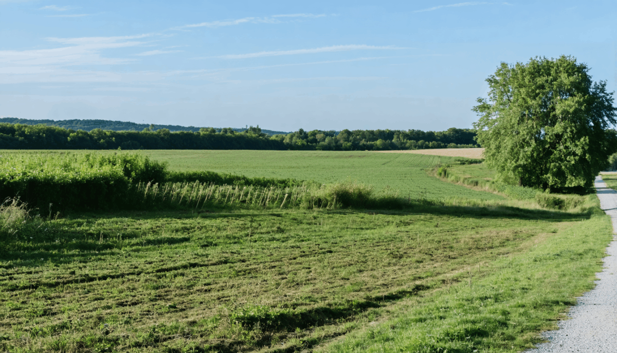 découvrez les solutions pour obtenir une indemnisation lorsqu'un terrain devient non constructible et protégez vos droits.