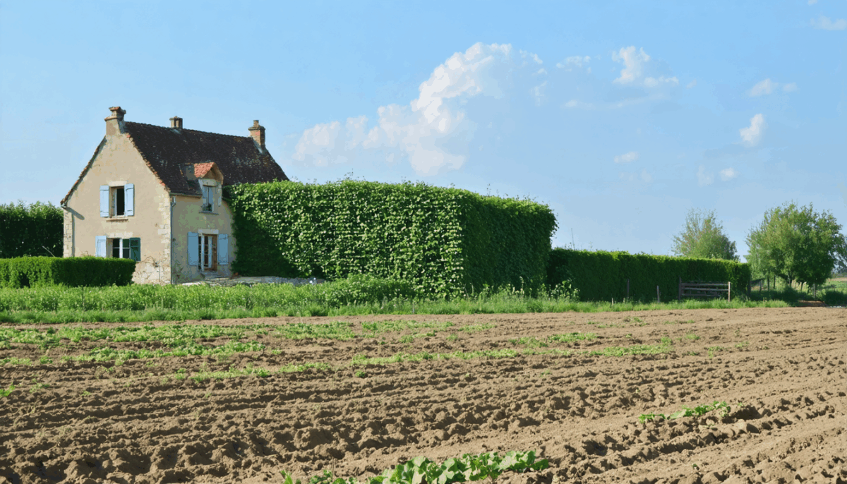 découvrez les démarches à suivre et les solutions possibles pour obtenir une indemnisation lorsque votre terrain devient non constructible.